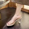 Thick Heel Crystal Heel Fashion Sandals 2025 Summer New Internet Celebrity Word with Transparent Thick Heel Cool Slippers Women's Wear
