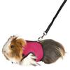 Rabbit Harness Leash Set Small Pet Chest Strap Adjustable Soft Mesh Harness with Leash Rat Vest Leashes Set Portable Elastic