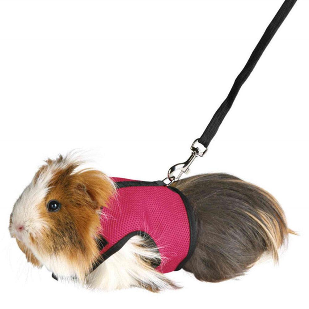 Rabbit Harness Leash Set Small Pet Chest Strap Adjustable Soft Mesh Harness with Leash Rat Vest Leashes Set Portable Elastic