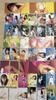 [USED] Nakajima Reika Bomb Trading Cards Regular 72 Types Full Set + Bonus