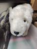 [USED] steiff×fulda yukon quest polar bear teddy bear