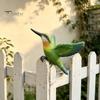 Shrub Decorative Figurine Resin Hummingbird Figurine, Clip?on Bird Statue for Fence, Flower Pot Tree Miniature Wildlife Decor Branch, Realistic