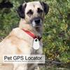 Outdoor Mini Haustier Hund Katze Bluetooth GPS Anti verloren Locator Monitor Tracking Gerät (Weiß)