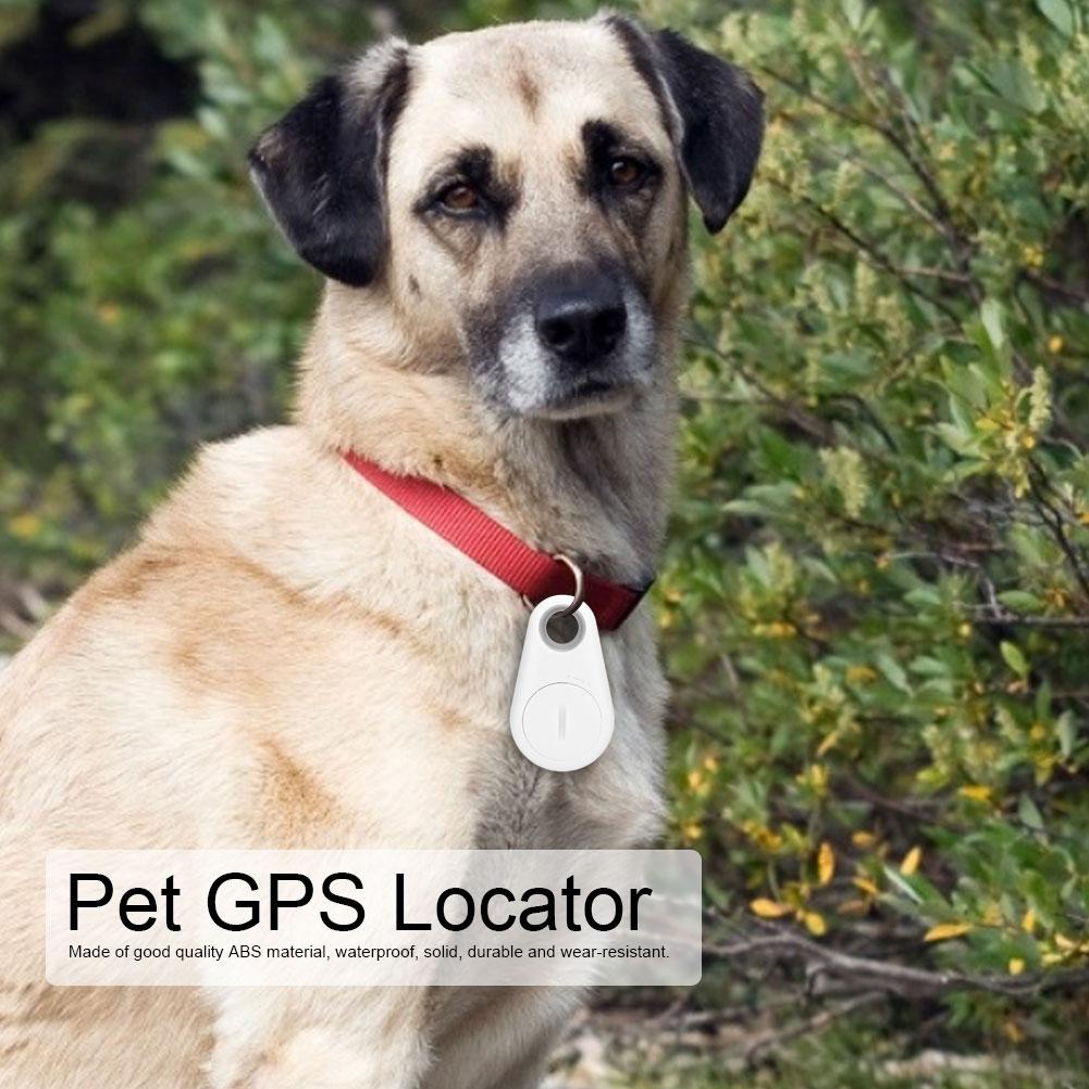 Outdoor Mini Haustier Hund Katze Bluetooth GPS Anti verloren Locator Monitor Tracking Gerät (Weiß)