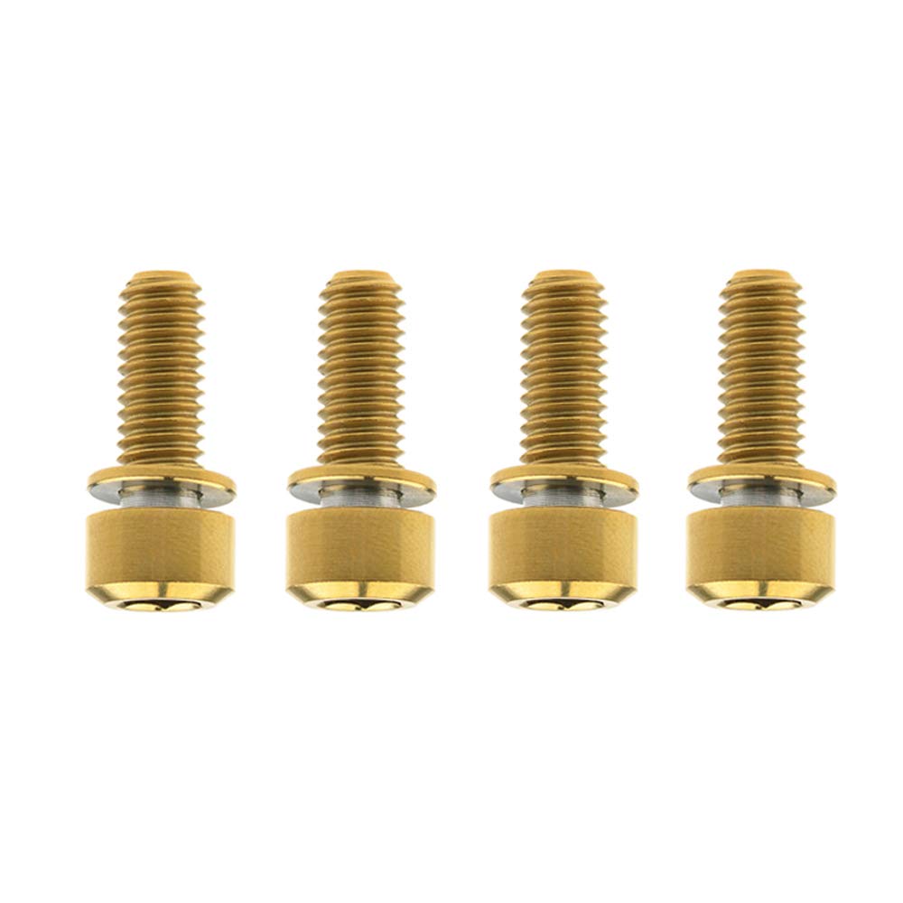Dingtai 4pcs Titanium M6x16/18/20/25mm Fixing Washer Screw Allen Hex Bolt