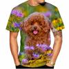 Kawaii Poodle Dog 3D Print Animal T-shirts Men Woman Fashion Streetwear Short Sleeve T Shirt Harajuku Tops Tees Kids Clothing