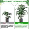 Reusable Plant Support Stakes Detachable Climbing Bracket New Plant Stakes Vine