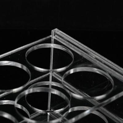 Porte-tubes de laboratoire, présentoir en acrylique à 8 emplacements, pour laboratoire, salle de classe, tests, enseignement et étagère scientifique