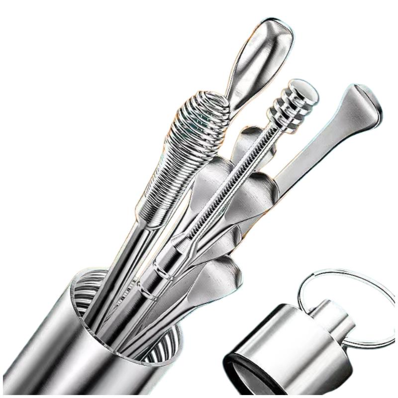 

10Pcs/Set Ear Wax Pickers Stainless Steel Earpick Wax Remover Care Ear Clean Tool Easy Carry 1set