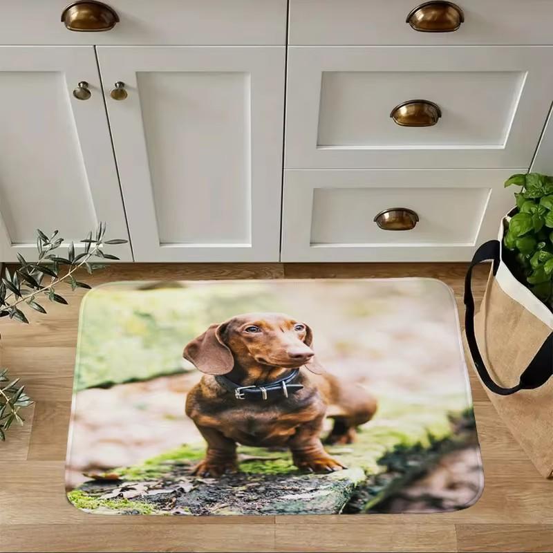 Mini Dachshund Dog Door Mat Decor Animal Pattern Print Rug Living Room Bedroom Entrance Doormat Kitchen Front Non-slip Carpet