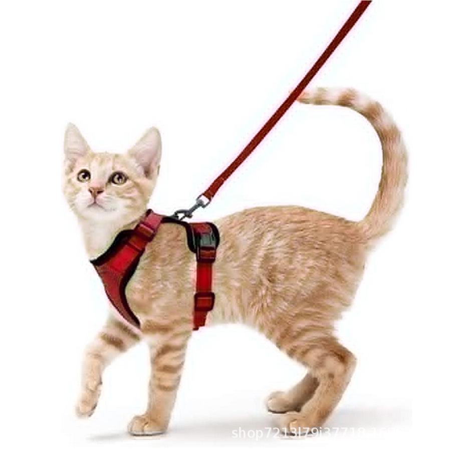 Reflective Cat & Small Dog Breathable Anti-Breakaway Chest Harness with Walking Rope