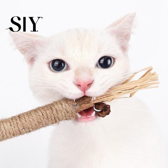 Chewable Cat Dental Stick Chew Toy Natural Vine Sticks Health Molar Catnip Treat Toys Teeth Cleaning for Indoor Kittens Interactive Playtime