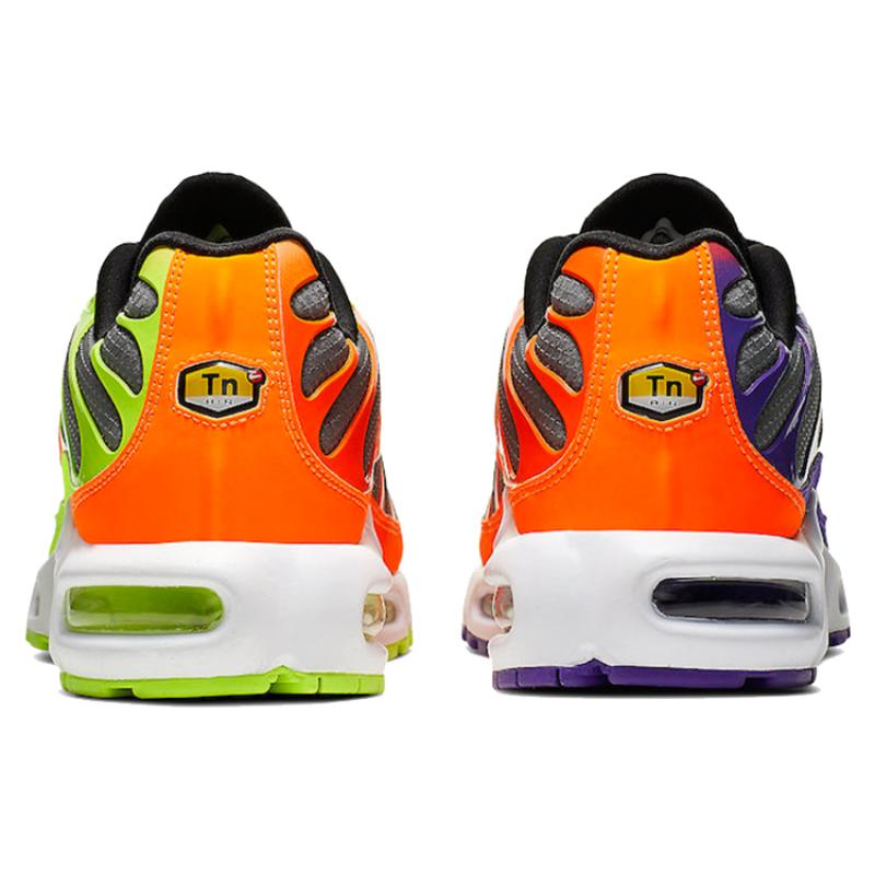 Nike Air Max Plus 'Color Flip' Sneakers Casual Shoes CI5924-061
