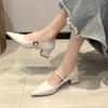 Women Shoes Pointed Toe Chunky Sandals  Fashion Spring Dress Shoes Elegant Buckle Pumps Outdoors Solid Color Female Shoes