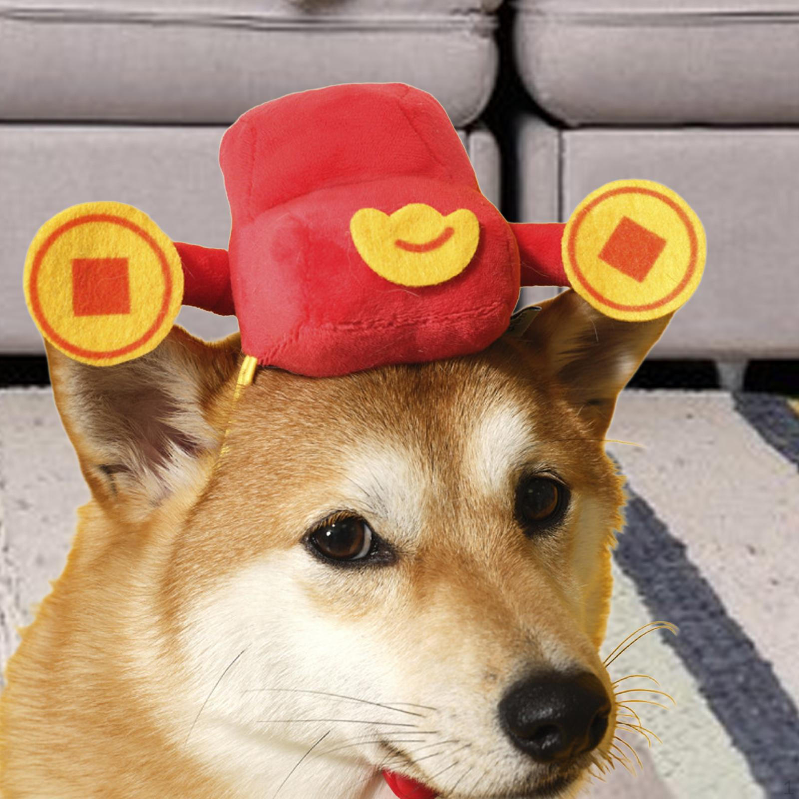 

Костюм кошки, шляпа, шапка для щенка, китайский год, косплей, мультяшное платье, головной убор для собаки