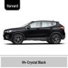 Haval H6 Cool Dog Touch-Up Pen, Black Spot & Ruixue White Scratch Repair Paint