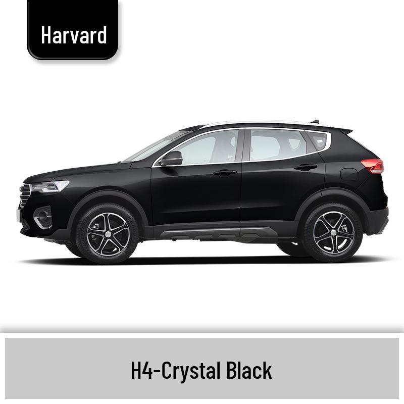 Haval H6 Cool Dog Touch-Up Pen, Black Spot & Ruixue White Scratch Repair Paint