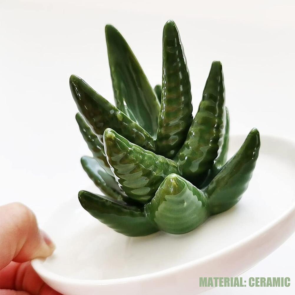 Ceramic Ring Holder Aloe Ring Dish Jewelry Holder Rings Bracelets Earrings Green Succulent Trinket