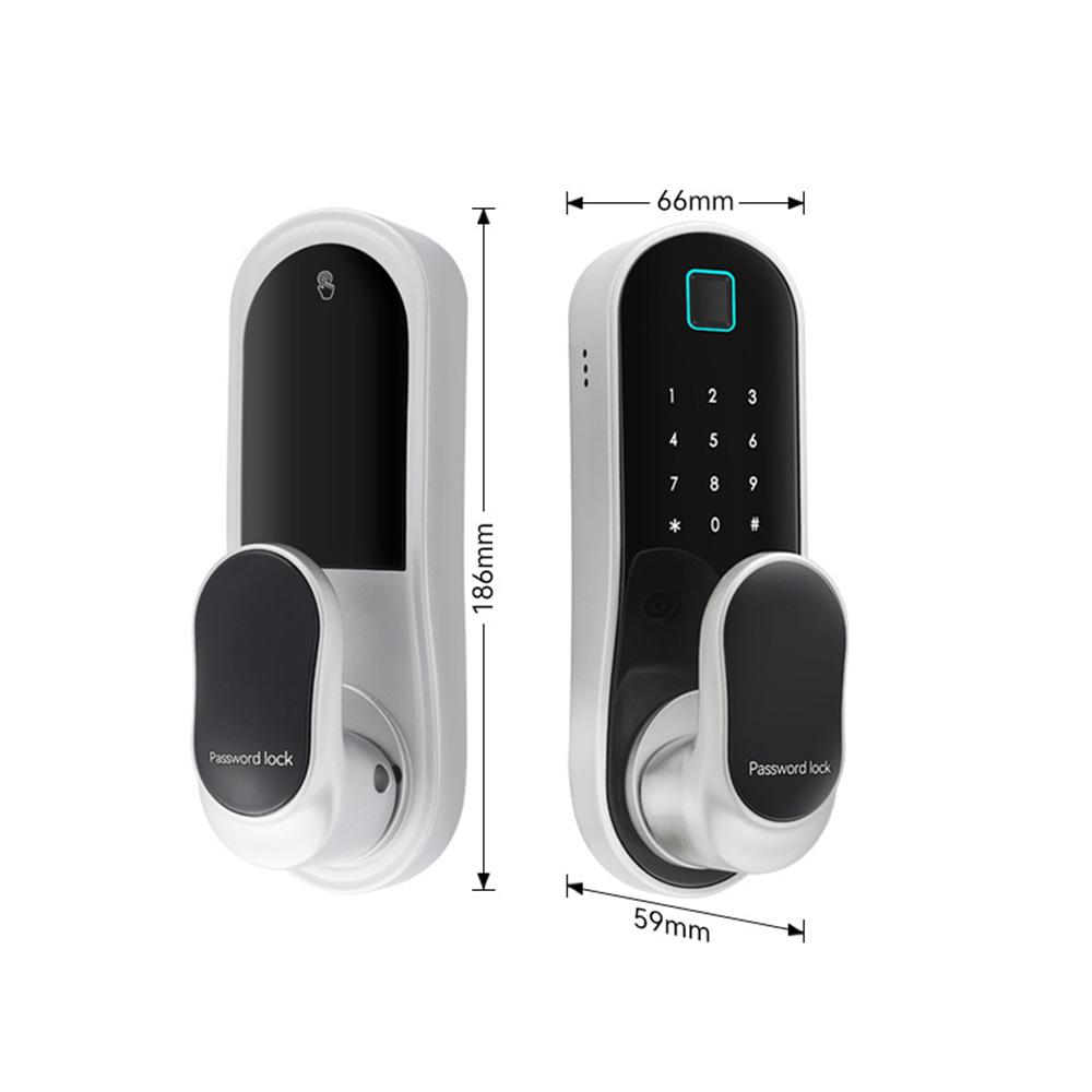 Smart Door Lock Keyless Entry Door Lock Handle with 2 Cards and 2 Keys Biometric Door Lock App Remote Operation WiFi