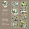 Mr. Paper,Forest Camping Character Theme Tape 200cm/roll for Collage Scrapbook Notebook Diary Decorative Stationery Stickers