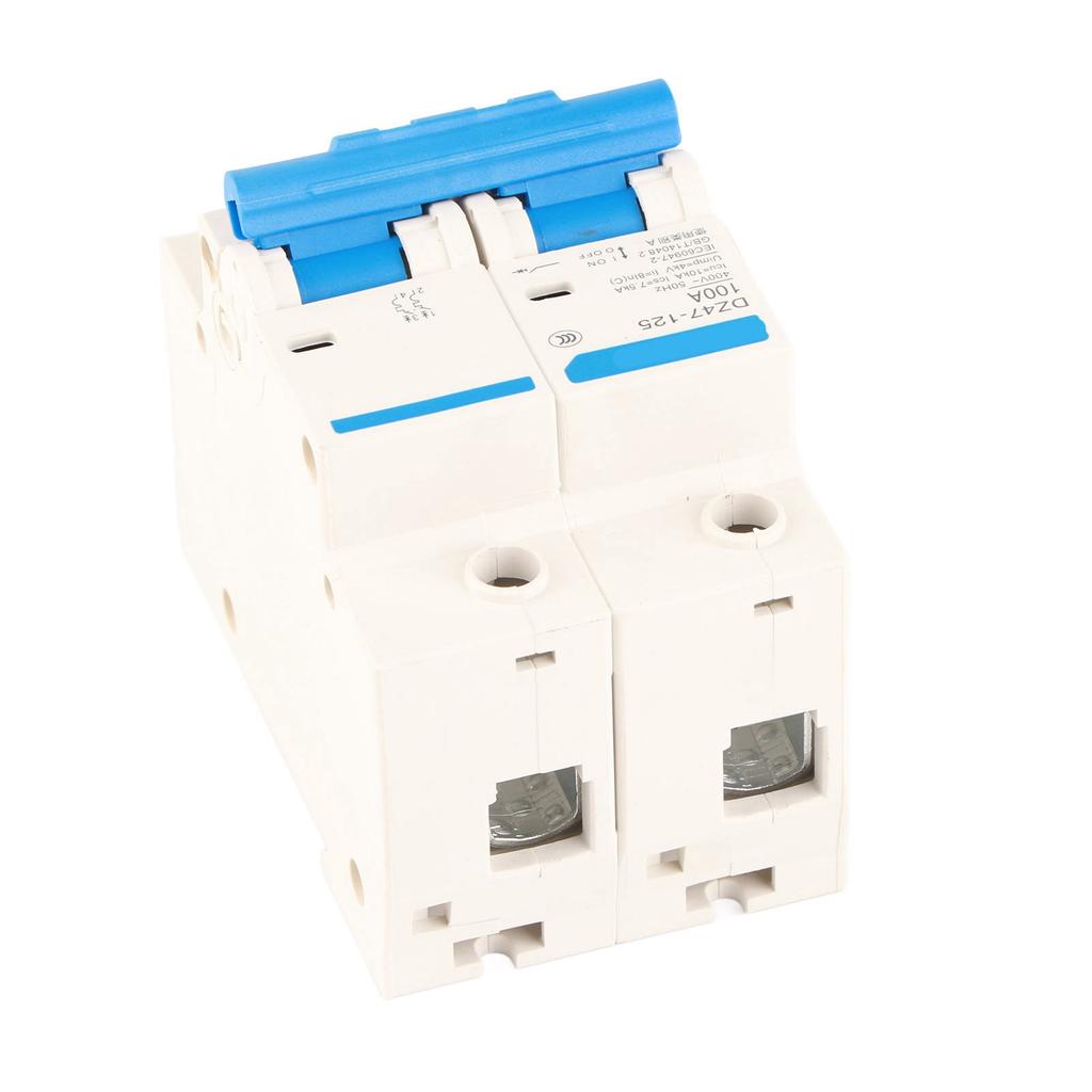 Interruptor de protección contra fugas 400V 80100125A DZ47?125 2P? Disyuntor miniatura de corriente(100A)