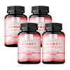 Pslalae Cranberry, Astragalus, and Bearberry Leaf Extract Supplement - Kidney Health
