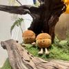 Jelly Oak Nut Plush Toy Fun Chestnut Doll Cute Pinecone Nut Doll Children's Gift