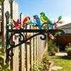 Aesthetic Wall Plant Hanger Metal Hanging Plant Bracket with Colorful Bird Pattern for Bird Feeders Wind Chimes Lantern Outdoor Indoor Patio Decor