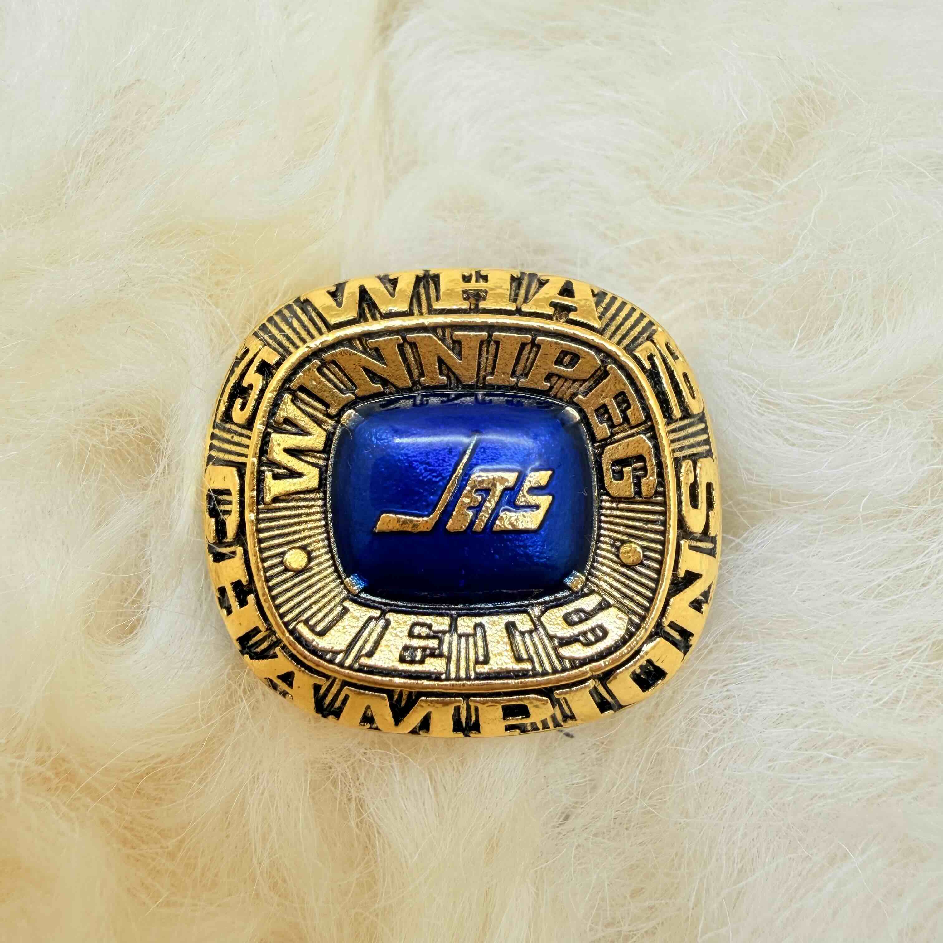 1975-1976  Hedberg WINNIPEG JETS WHA Hockey AVCO CUP Champions Ring 11&only ring