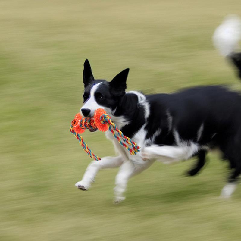 Interactive Dog Toys and Pet Supplies for Dogs Chewing on Toy Ropes To Grind and Clean Their Teeth