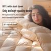 Nanjiren 90% White Duck Down Winter Duvet