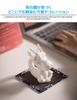 AirAkl White Dragon Figurine Pair, Porcelain, Year of the Dragon, Entrance Decor, Feng Shui Good Fortune, Includes 2 Straw Mats