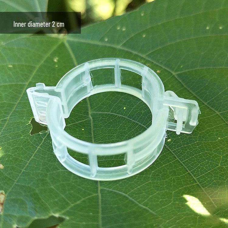 Pinces de fixation pour plantes vertes, vignes et semis, pour poivrons et aubergines