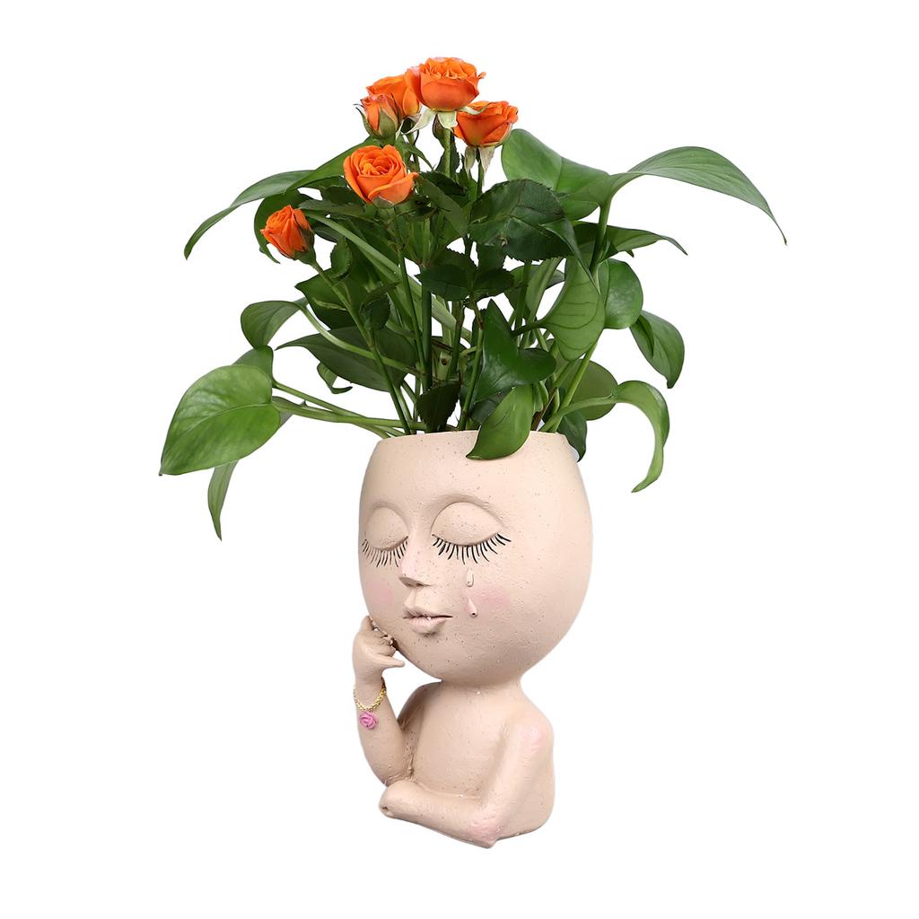 Resin Flower Pots for Home, Unique Flower Pot for Indoor and Outdoor Plants, with Drainage Hole, Add   and Personality To Your Home