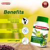 Baidyanath Singhanad Guggulu Ayurvedic Joint Wellness Tablets 80 Count Supports Flexibility Mobility