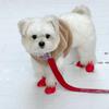 Silicone Dog Boots Waterproof Anti-Slip Pet Shoes 2pcs Paw Protectors All Weather Cute Dog Walking Shoes
