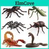 Allomyrina Dichotoma Szene Diorama PVC-Nachbildungen Mit Pädagogischem Nutzen Für Heim- Und Klassenzimmerdekoration