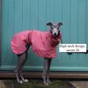 Impermeabile per Cani Taglia Grande Lusso Whippet Levriero Cani Impermeabili Giacca Dobermann Pinscher Impermeabile Passeggiate all'Aperto