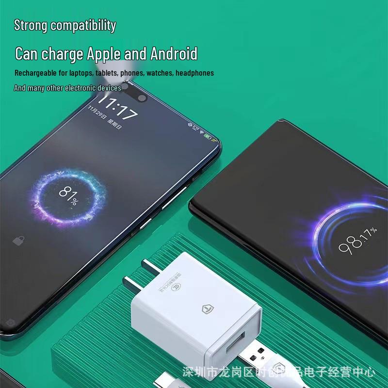 Direct Train 3CP10 3C Certified 5V/2A Fast Charge USB Charger Adapter
