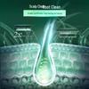 Clear Scalp Care Oil-Control Revitalizing Shampoo