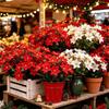 UV Resistant Artificial Poinsettia Bouquet 36cm Xmas Faux Poinsettia  Fireplace