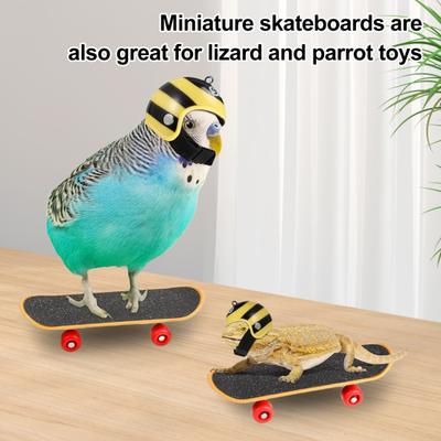 Nastavitelné vodítko pro želvu a sada skateboardu Venkovní tréninkový postroj a mini prstový skateboard pro malého mazlíčka vousatou agamu, ještěrku, želvu