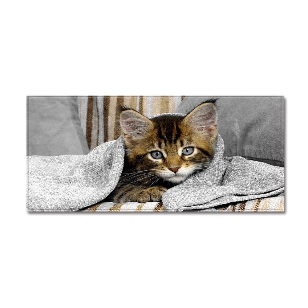 Animal Sand Wardrobe Shoe Cabinet Long Floor Mat