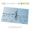 Plus Flat File Expandable String Binding 10 X 10 A4, Spine, Senobas, Type/Replacement Cover, Blue, Pieces, FL-023SH, 89-138