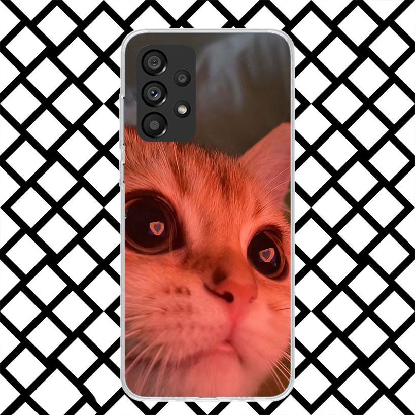 Pet Cat Funny Memes Phone Case for Samsung Galaxy A52 A42 A32 A22 A12 A02S A51 A50 A71 A70 A41 A31 A21S A40 A30S A20S A10S A11