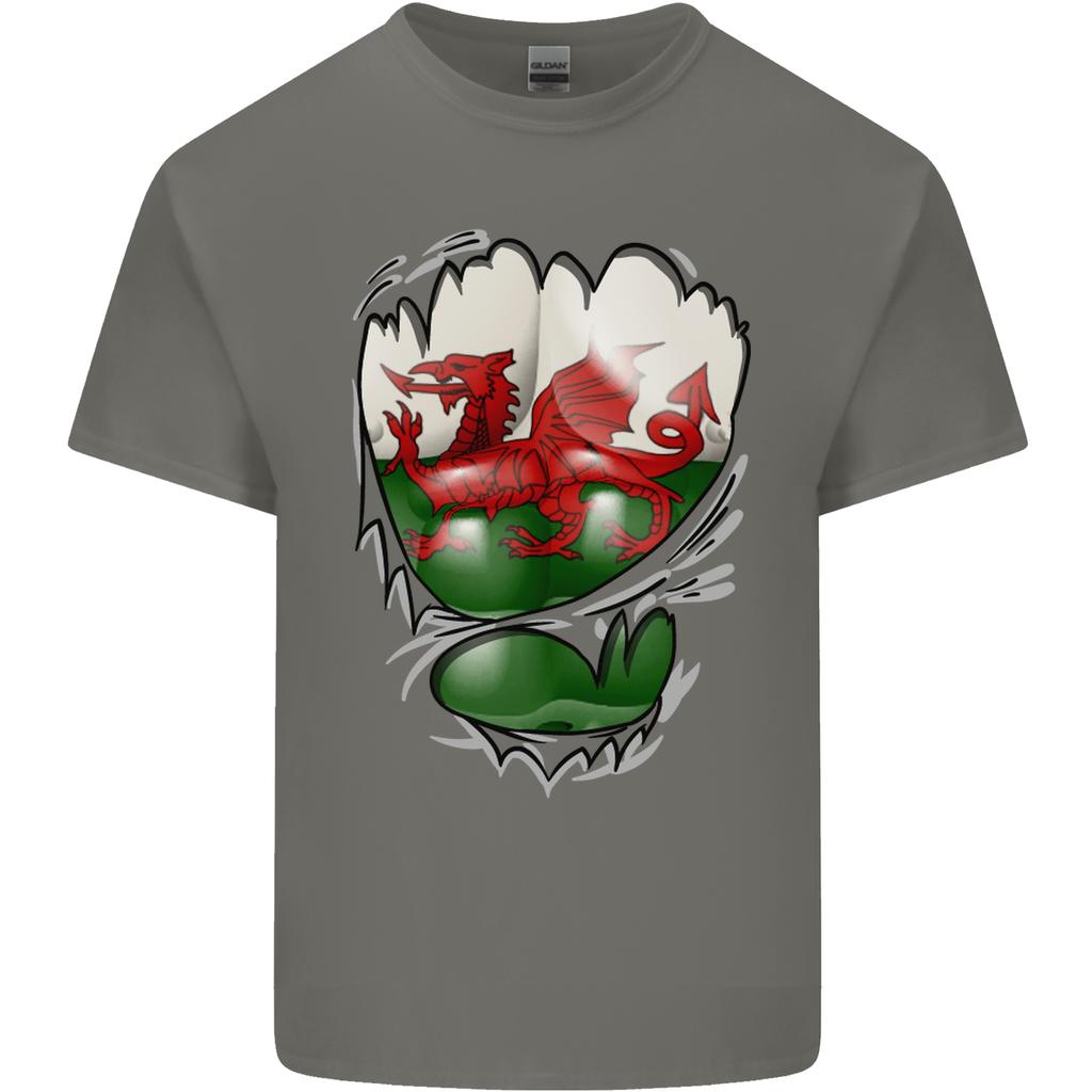 Gym The Welsh Flag Ripped Muscles Wales Unisexs Light Cotton TShirt