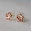 RookieStar 14k Mini Star Earrings R1rreg003