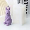 3D Multi-style Cute Rabbit Silicone Candle Mold DIY Easter Animal Aromatherapy Plaster Soap Resin Mould  Crafts Casting Tool