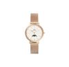 Daniel Wellington DW00100773 Watch