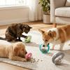 Flying Saucer Shaped Flying Saucer Pet Toy Anti-tip Dog Slow Feeder Puzzle Pet Toy  Molar Chewing